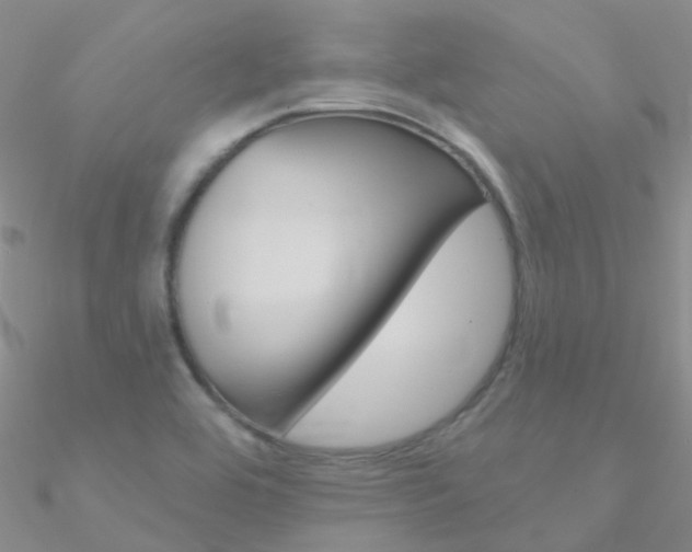 X0000090971464200708021132