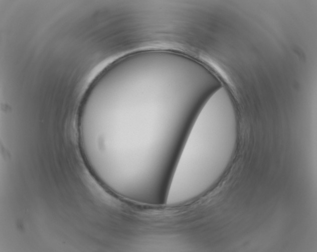 X0000090971468200708021132