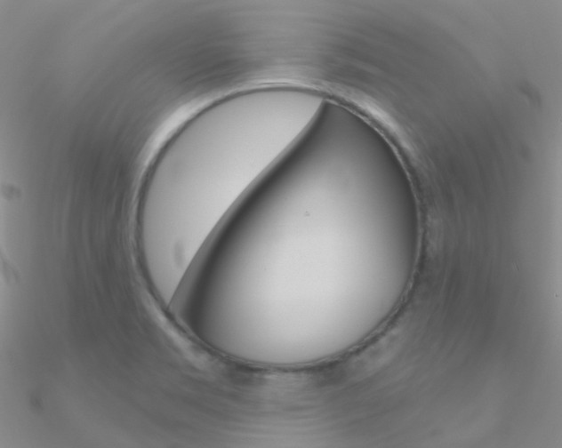 X0000090971469200708021132