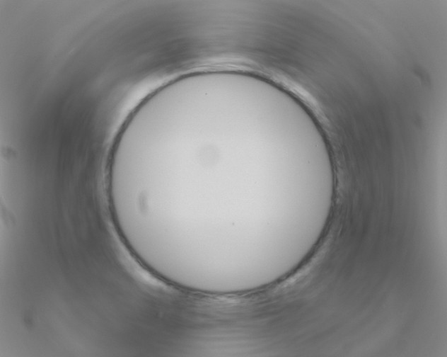 X0000090971470200708021132
