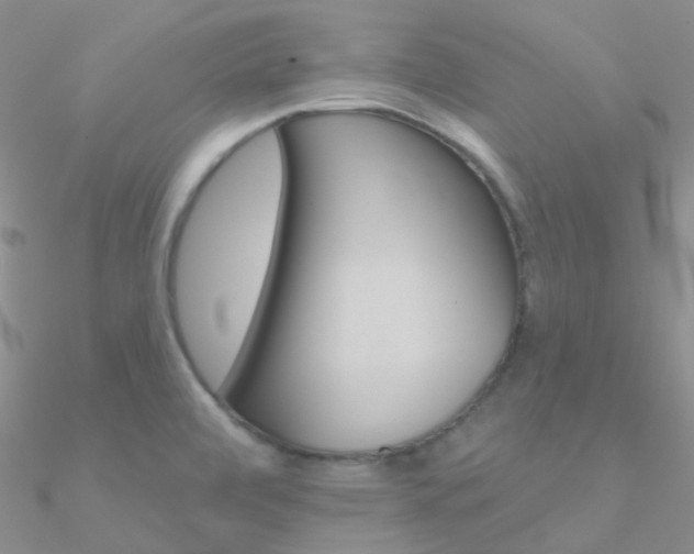 X0000090971472200708021132