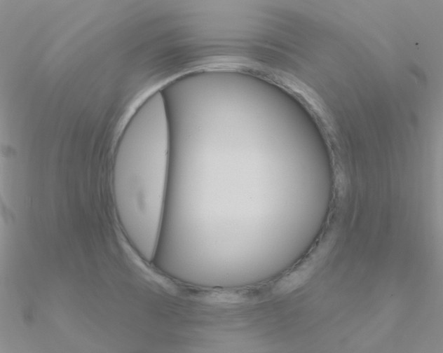 X0000090971473200708021132