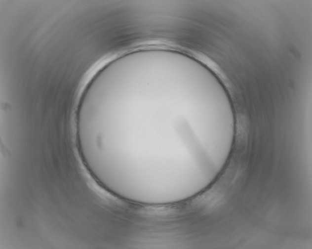 X0000090971474200708021132