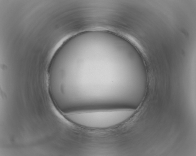 X0000090971476200708021132