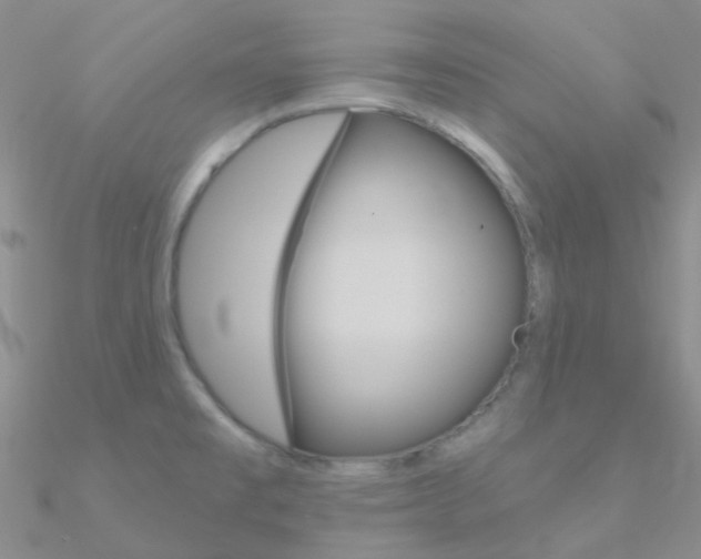 X0000090971477200708021132