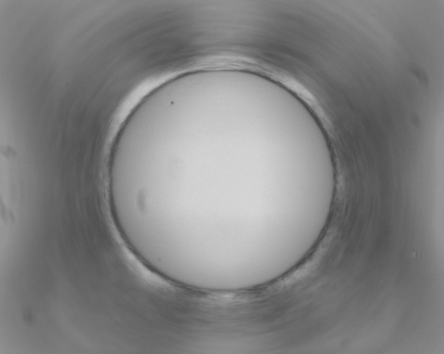 X0000090971478200708021132
