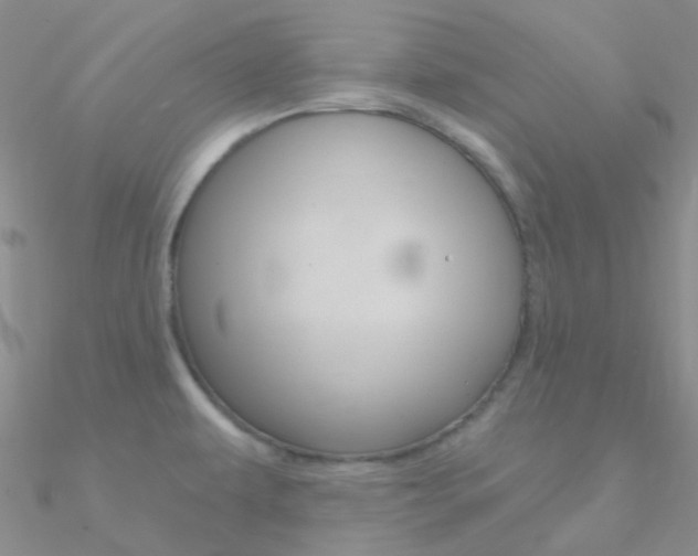X0000090971479200708021132