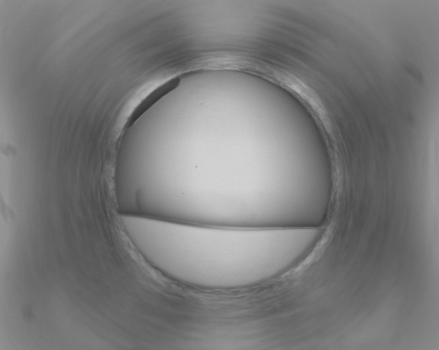 X0000090971481200708021132