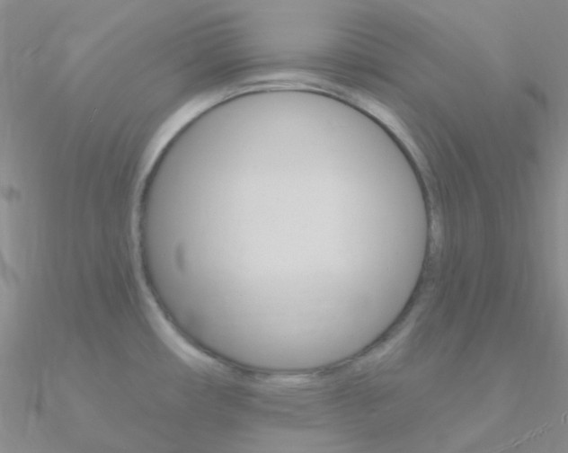 X0000090971482200708021132