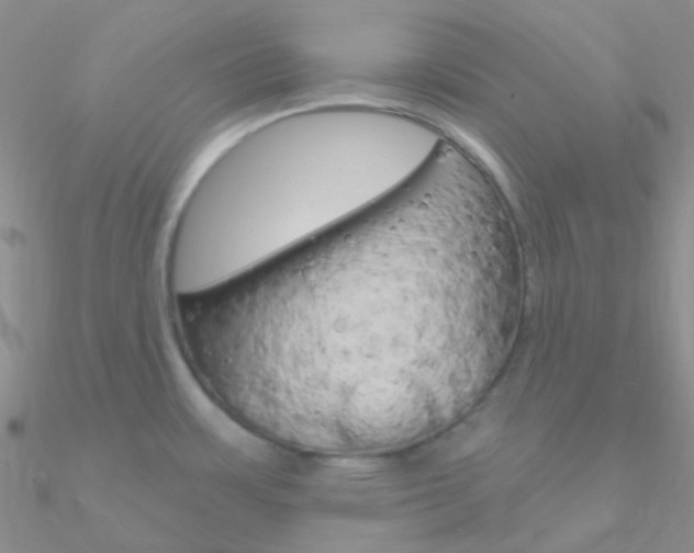 X0000090971483200708021132