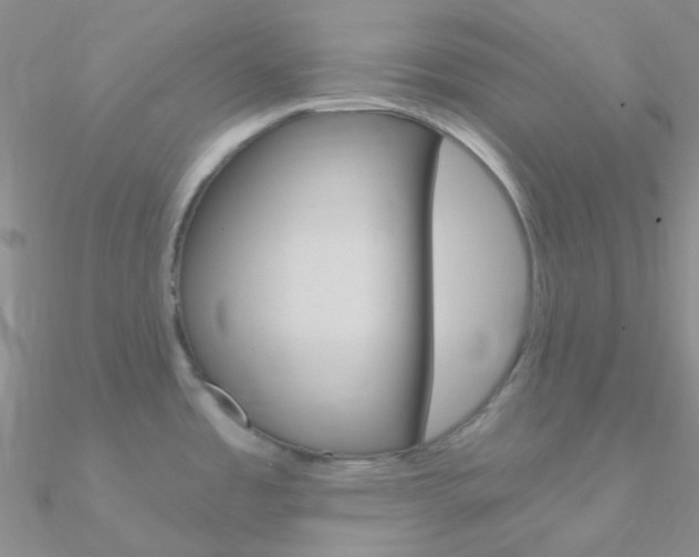 X0000090971485200708021132
