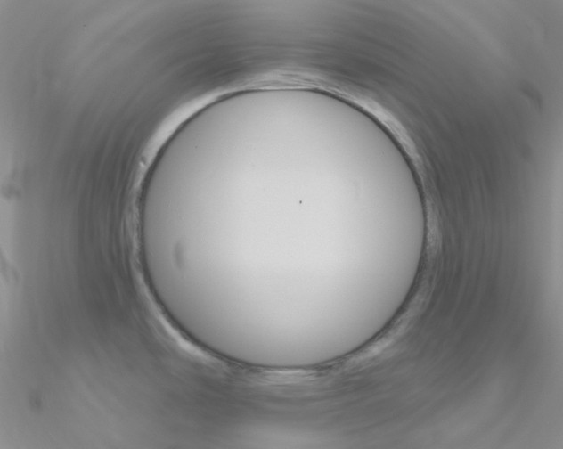 X0000090971486200708021132