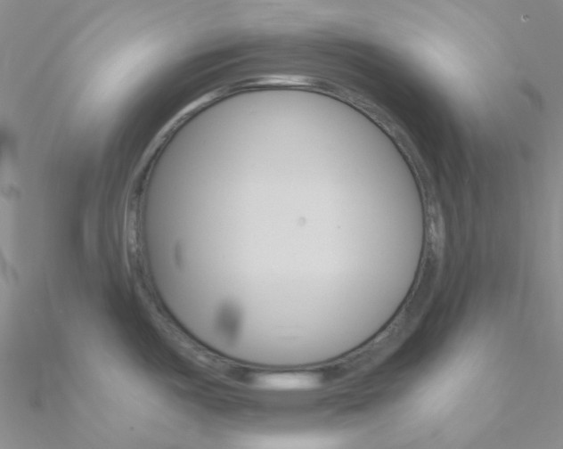 X0000090971487200708021132