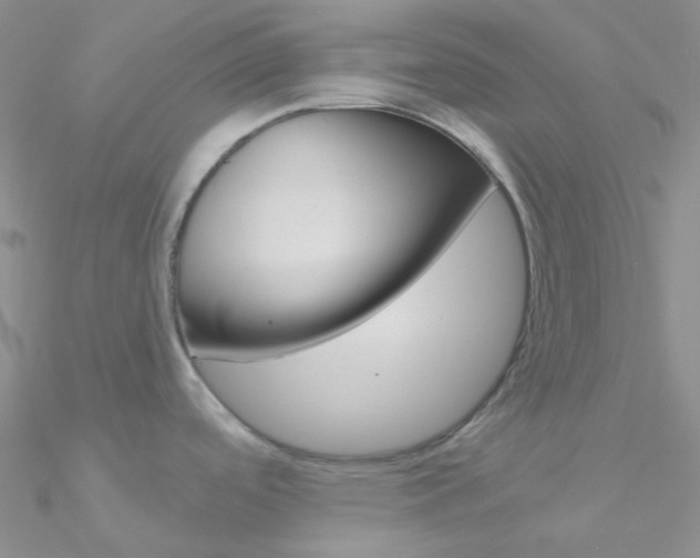 X0000090971488200708021132