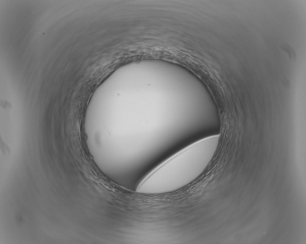 X0000090971489200708021131