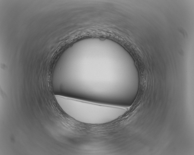 X0000090971490200708021131