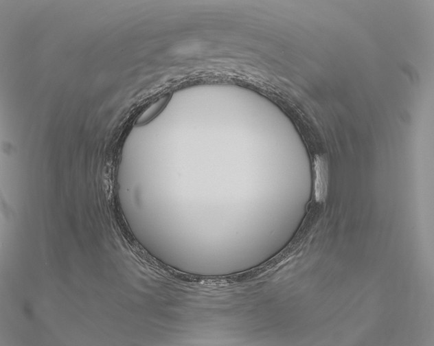 X0000090971491200708021131