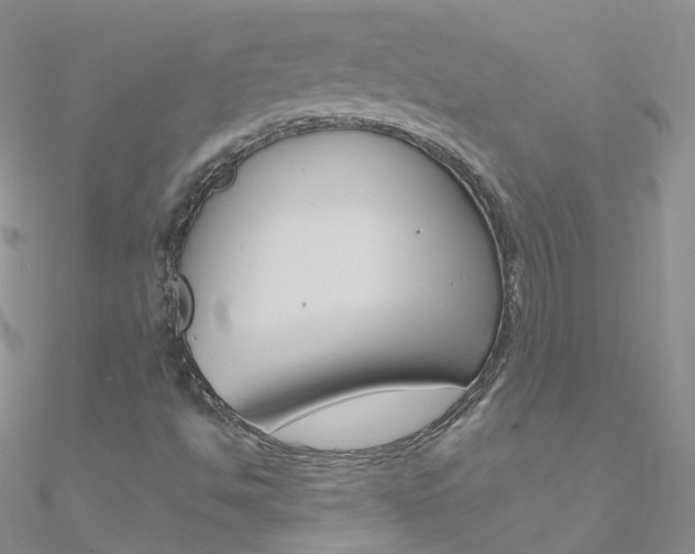 X0000090971494200708021131