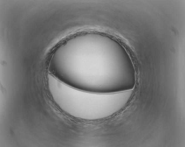 X0000090971496200708021131