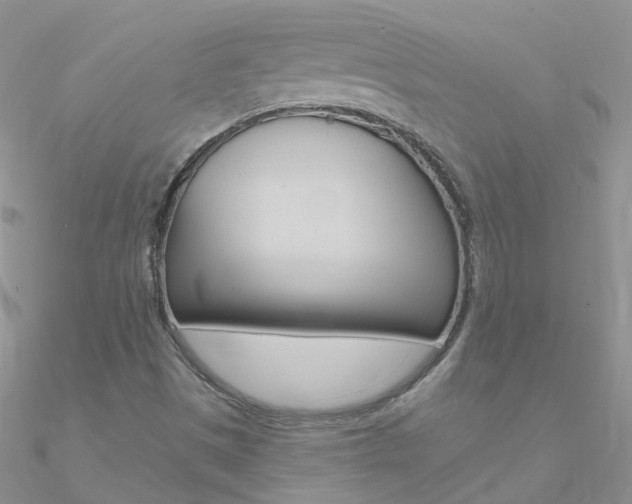 X0000090971497200708021131