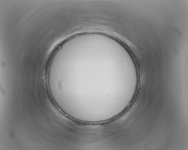 X0000090971498200708021131