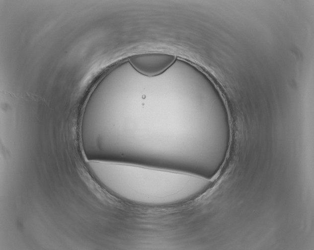 X0000090971499200708021131