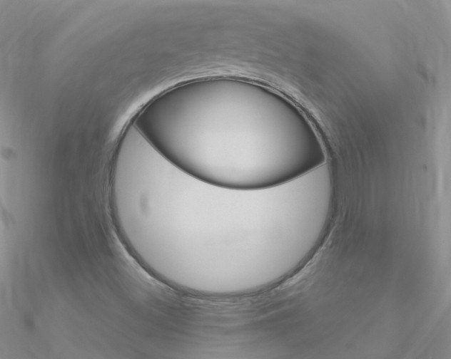 X0000090971500200708021131