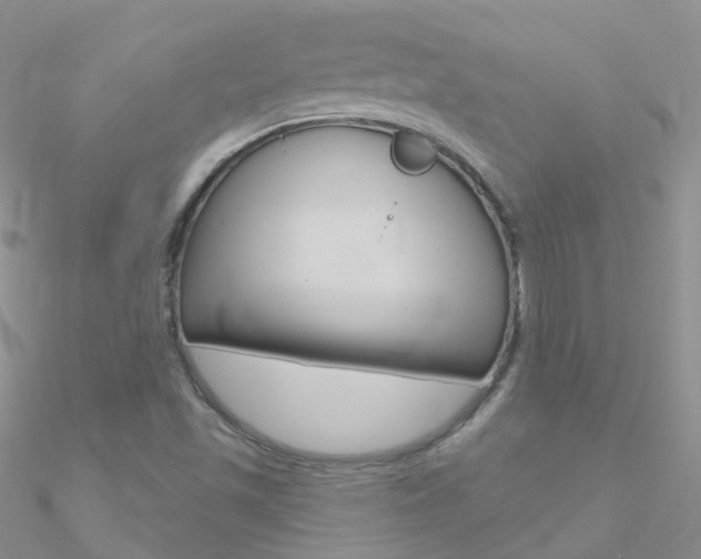 X0000090971501200708021131