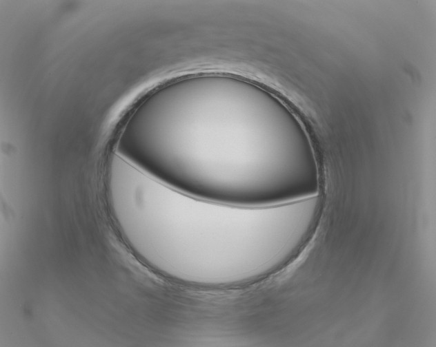 X0000090971502200708021131