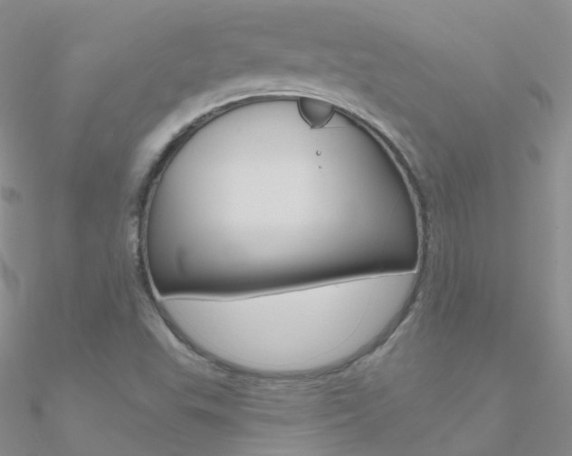 X0000090971503200708021131