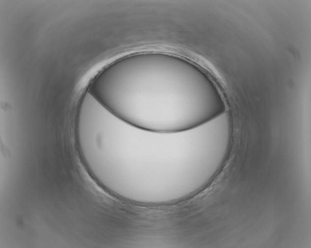 X0000090971504200708021131