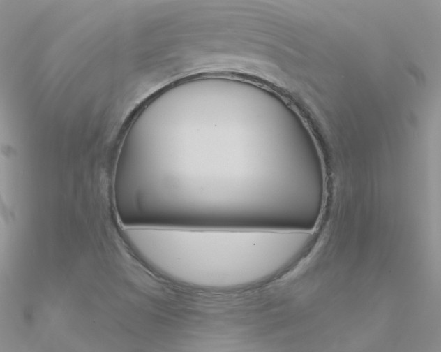 X0000090971505200708021131