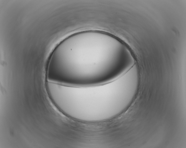 X0000090971508200708021131