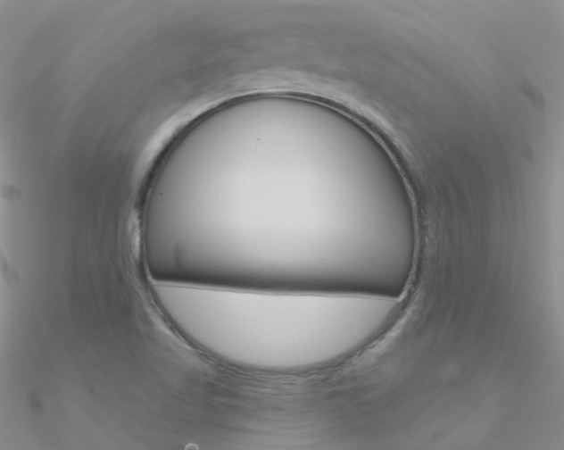 X0000090971509200708021131