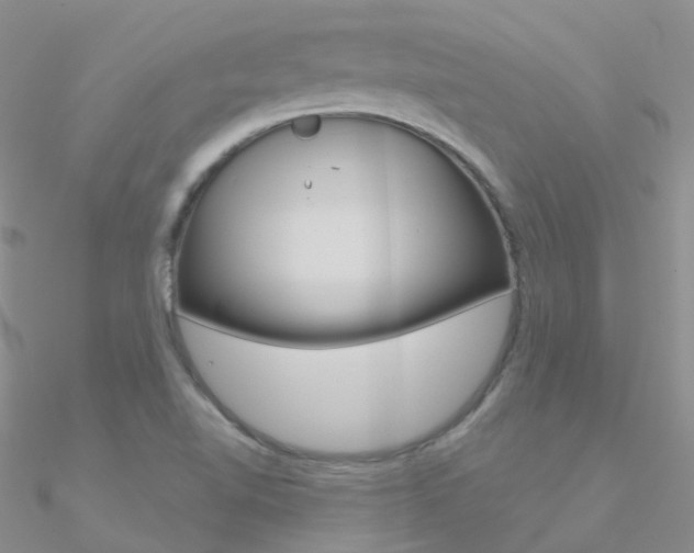 X0000090971510200708021131