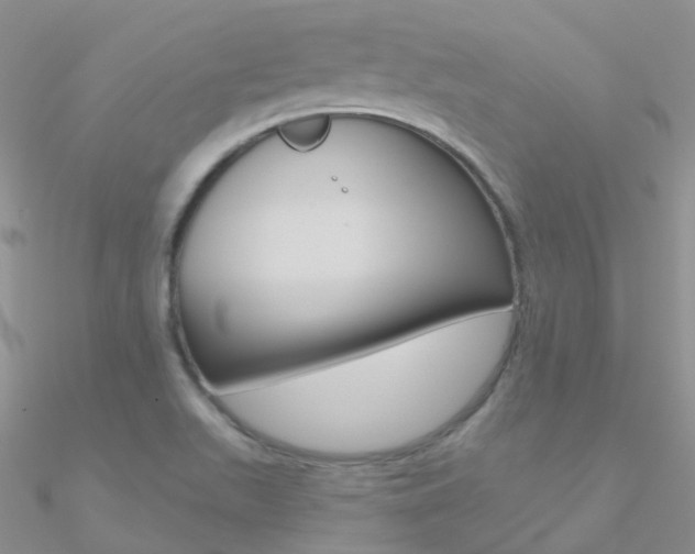 X0000090971511200708021131