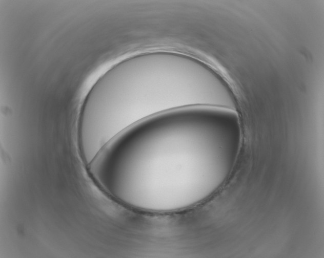 X0000090971512200708021131
