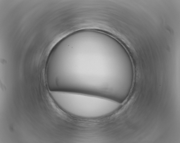 X0000090971513200708021131