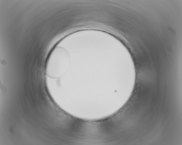 X0000090971514200708021131