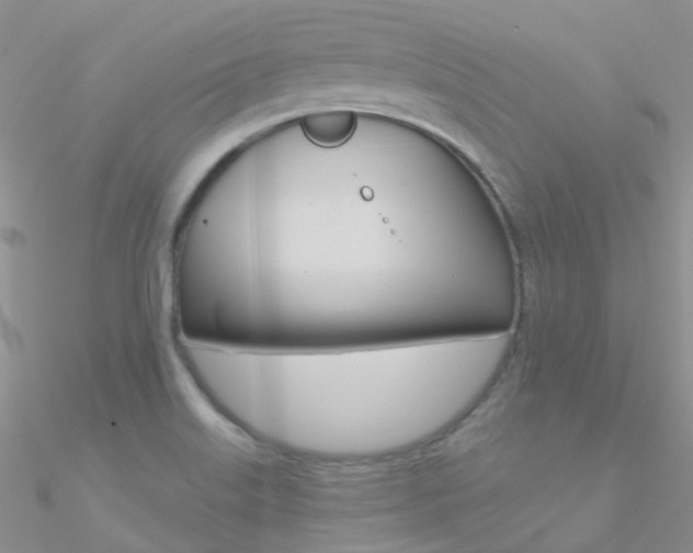 X0000090971515200708021131