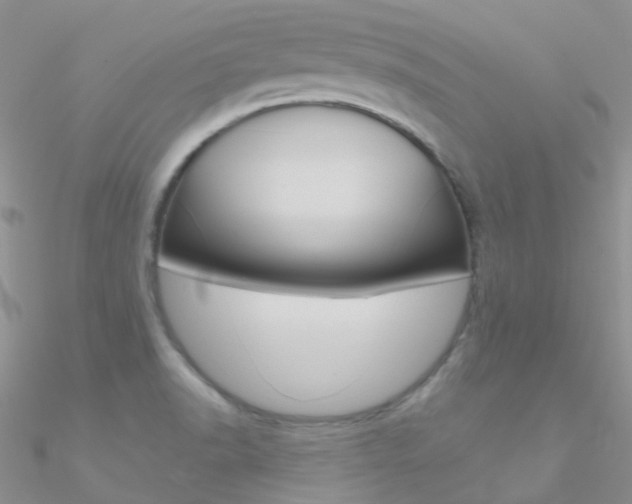 X0000090971518200708021131