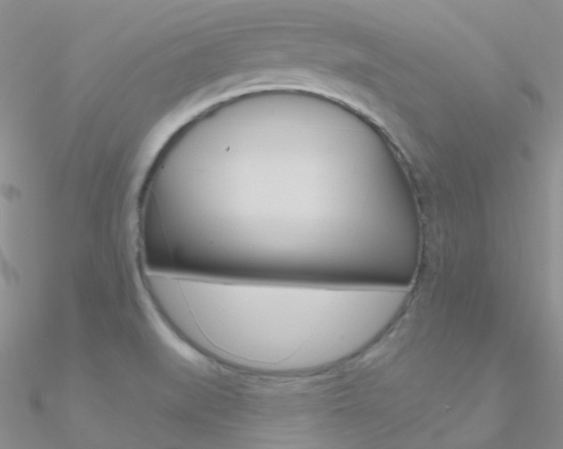 X0000090971519200708021131