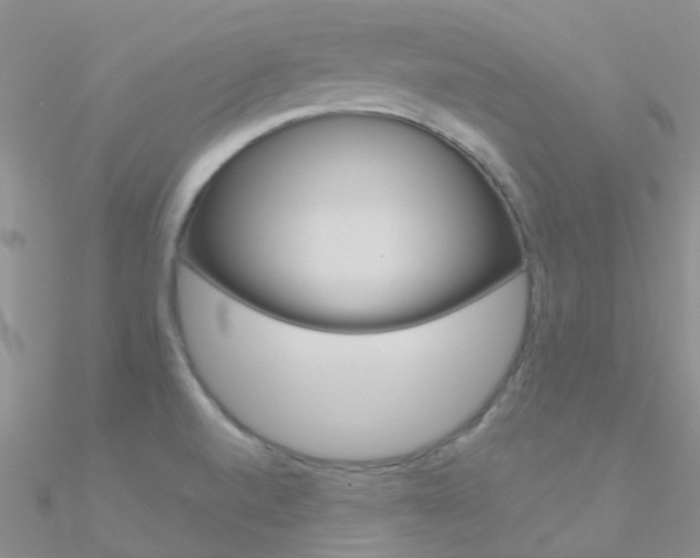 X0000090971520200708021131