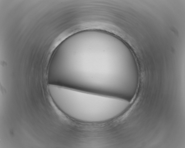 X0000090971521200708021132