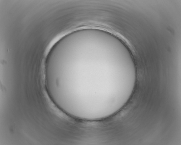 X0000090971522200708021132