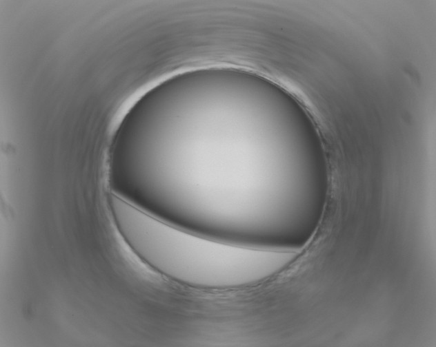 X0000090971524200708021132
