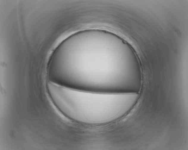 X0000090971525200708021132