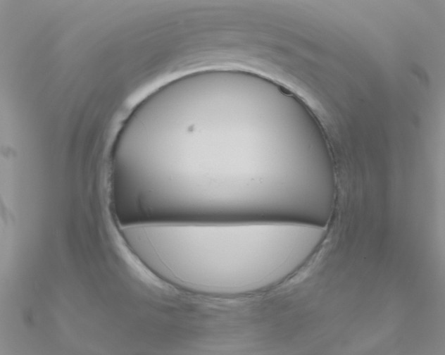 X0000090971526200708021132