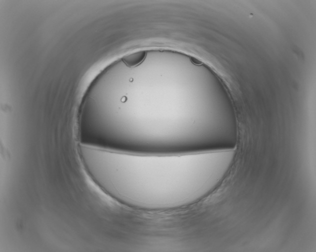 X0000090971527200708021132