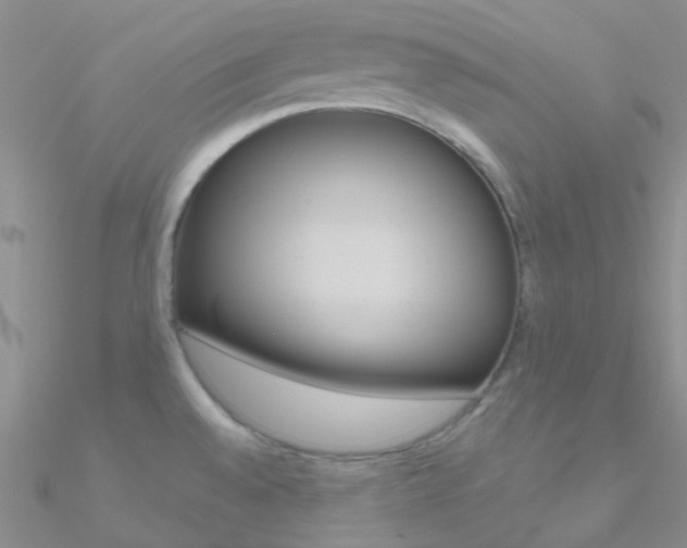 X0000090971528200708021132